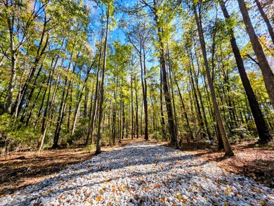 Entrance road off of easement