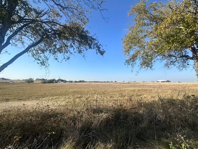 1328 Old Maypearl Rd, Waxahachie, TX 75167 - photo 5