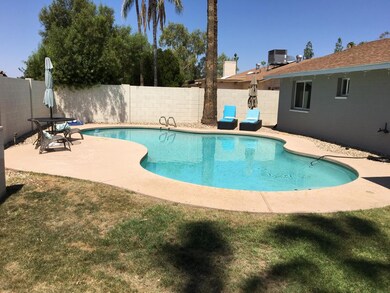 Wesleyan Back yard and pool