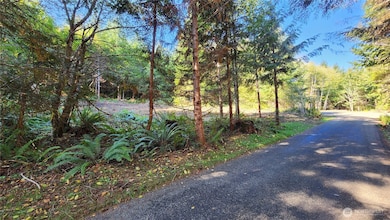 5728 Duane Ln NW, Olympia, WA 98502 - photo 2