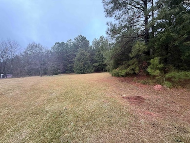 5163 Old Airport Rd, Winnsboro, SC 29180 - photo 3