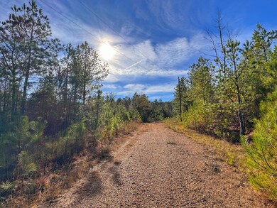 County Road 25, Reform, AL 35481 - photo 7