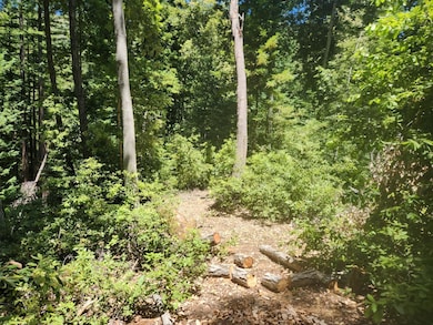 0 Lost Valley Rd unit ML82027788, Los Gatos, CA 95033 - photo 6