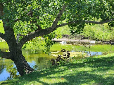 Wildlife in your backyard view