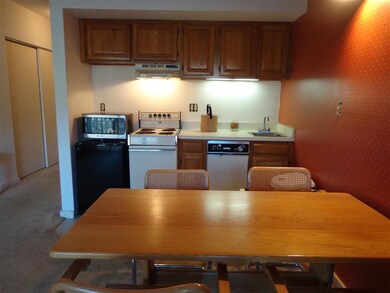 36 Lodge Rd unit C109, Lincoln, NH 03251 - photo 6