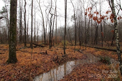 4+/-AC LOT 2 Eaker Rd, Kings Mountain, NC 28086 - photo 5