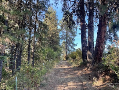 181 Harris Ridge Loop, Kooskia, ID 83539 - photo 7