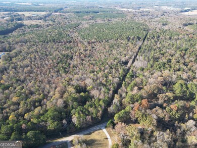 0 Cedar Grove Rd unit 10645353, Buckhead, GA 30625 - photo 5