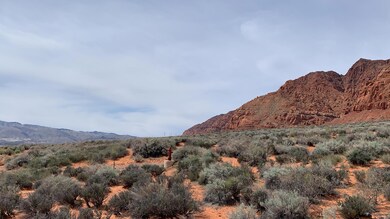 IMG_5259