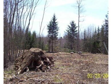 Land/Lot.