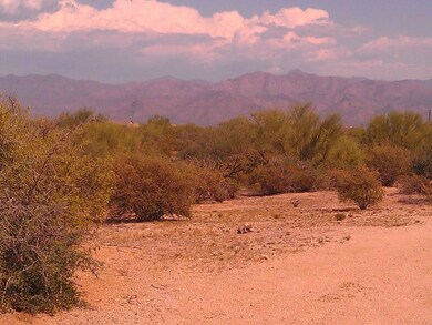 VIEWS FROM THE ACCESS ROAD