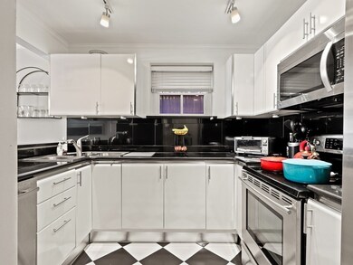 80 W Concord St unit 1, Boston, MA 02118 - photo 6
