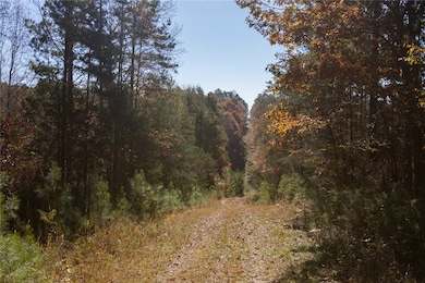 00 Fishers Cove Rd, Fair Play, SC 29643 - photo 3