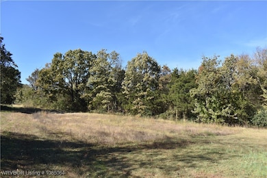 3431 Arkansas 109, Magazine, AR 72943 - photo 3