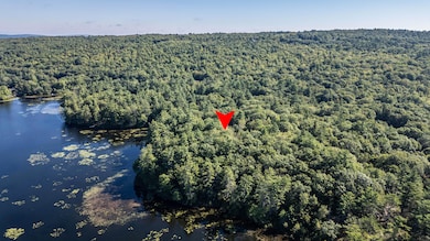 13 & 16 Joyal Hill Ln, Casco, ME 04015 - photo 7