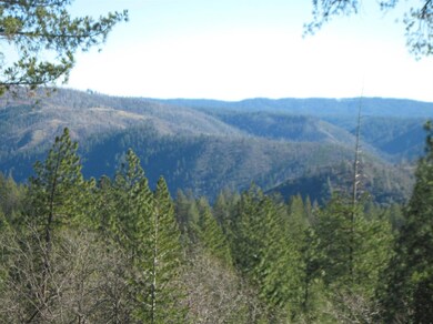 view of mountain backdrop with a heavily wooded area