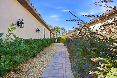 20112 Sorano Hill Place, Tampa, FL 33647 - photo 5