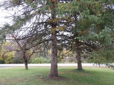 4450 Flossmoor Rd, Country Club Hills, IL 60478 - photo 6