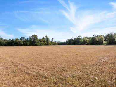 1561_Shubuta_Eucutta_Rd-4