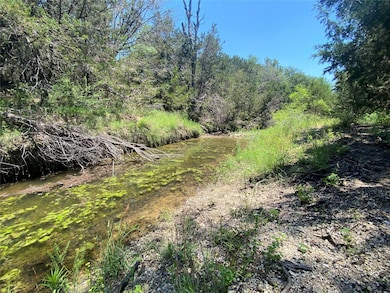 View of local wilderness