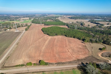 Lot 12 County Road 6, Headland, AL 36345 - photo 2