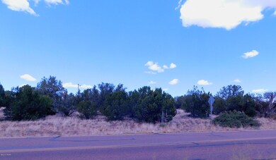 8336 Silver Creek Drive Street View