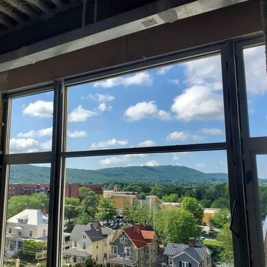 218 W Water St unit 704, Charlottesville, VA 22902 - photo 7