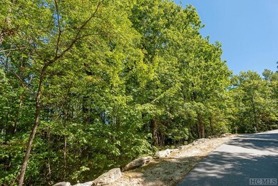 Lot 31 E Ridge Rd, Cashiers, NC 28717 - photo 7