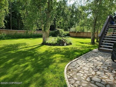 Back Yard 01