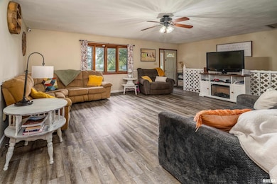 816 S Elm St, Sesser, IL 62884 - photo 6