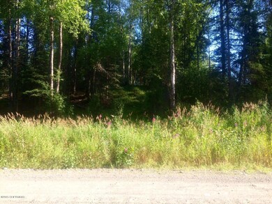 Lot View
