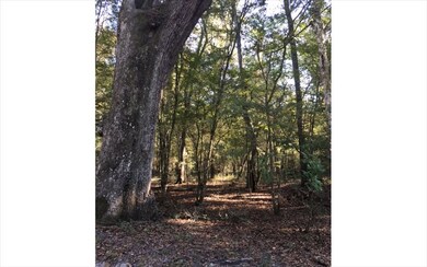 0 Sante fe Dr unit 96048, Fort White, FL 32038 - photo 2