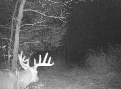 0 Koecke Ln, Wyalusing, WI 53801 - photo 2