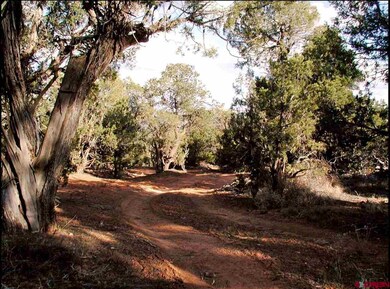 0 Road 22 7 unit 724943, Cortez, CO 81321 - photo 5