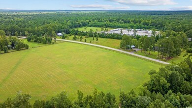 Bird's eye view featuring a rural view
