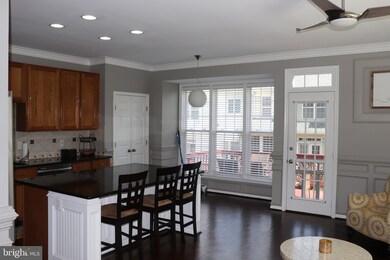 46690 Abigail Terrace, Sterling, VA 20165 - photo 7