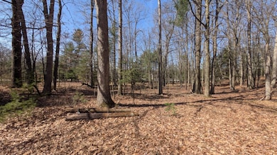 5764 W Bryant Rd, Ludington, MI 49431 - photo 6