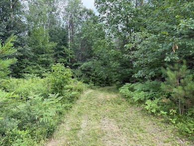 ON Malby Lake Rd, Minocqua, WI 54548 - photo 4