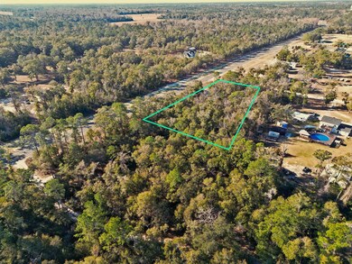 xx Lonesome Rd, Crawfordville, FL 32327 - photo 4