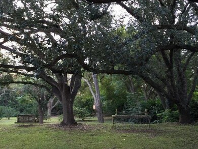 1301 S Texas Blvd, Weslaco, TX 78596 - photo 6