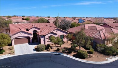 Large Landscaped Front Yard