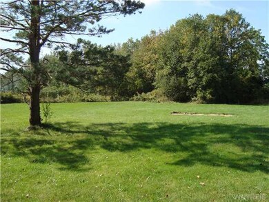 View back yard