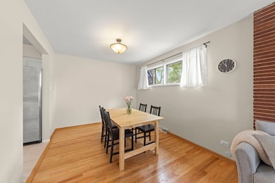 221 S Linden Ave, Elmhurst, IL 60126 - photo 6