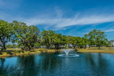 2268 Hamlin Sound Cir, Mount Pleasant, SC 29466 - photo 4