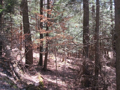 0 Stratton View Rd, Winhall, VT 05340 - photo 3