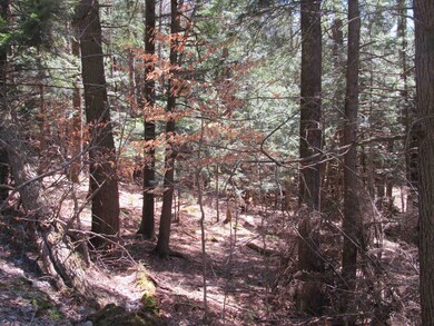 0 Stratton View Rd unit 26, Winhall, VT 05340 - photo 3