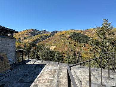 View of mountain backdrop with a forest