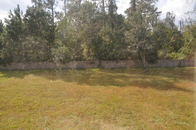 11682 Pleasant Creek Dr, Jacksonville, FL 32218 - photo 6