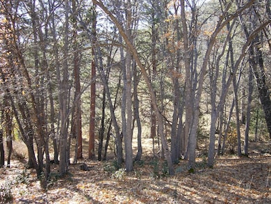 0 20 Acres Scarface Rd, Gazelle, CA 96034 - photo 4