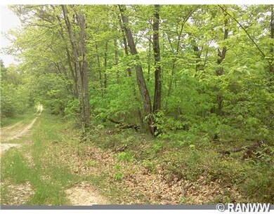 0 Zink Rd, Bridge Creek, WI 54741 - photo 2